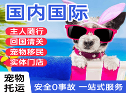 广州航空快运国际宠物托运 【国